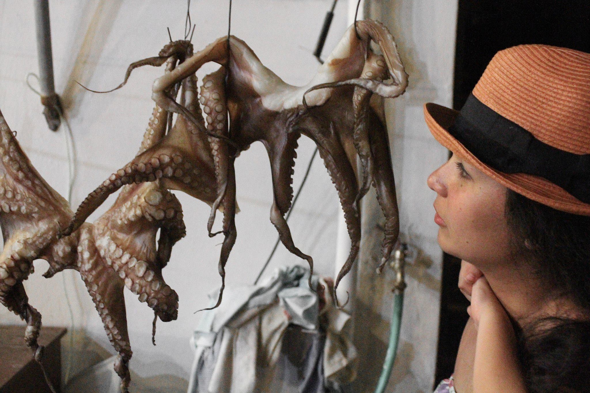 Dariejane fascinated by the sight of two octopuses being hung to dry in Monemvasia, Greece